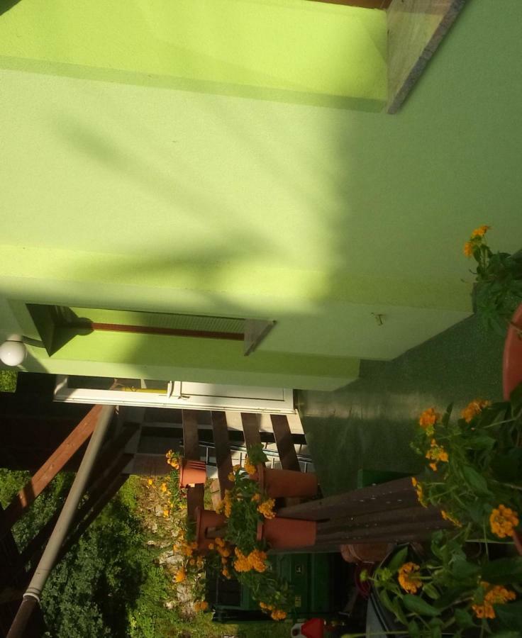 Apartma Juha - Breg pri Borovnici Exteriér fotografie